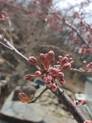 판넬공작사님의 자유주제 · 자유게시판 작성글 사진