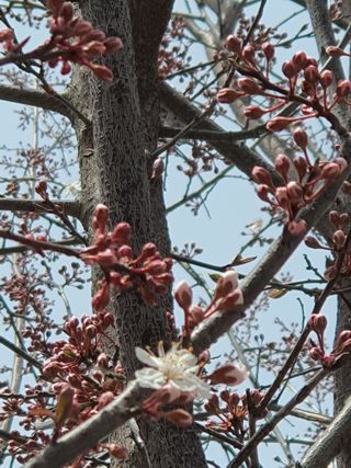 판넬공작사님의 자유주제 · 자유게시판 작성글 사진
