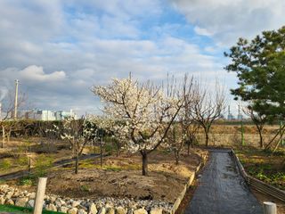한우리별님의 4월 농사계획 공유해요 · 참여글 작성글 사진