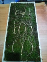 팜모닝 · 게시글 이미지