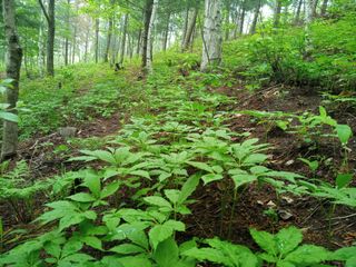 삼두리농원님의 작성글 사진