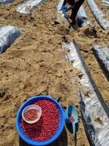 팜모닝 콩·영농일지 게시글 이미지