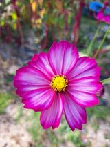 팜모닝 · 게시글 이미지