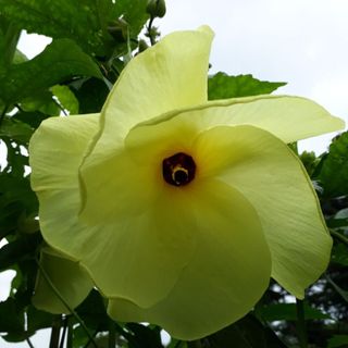 신한숙님의 작성글 사진