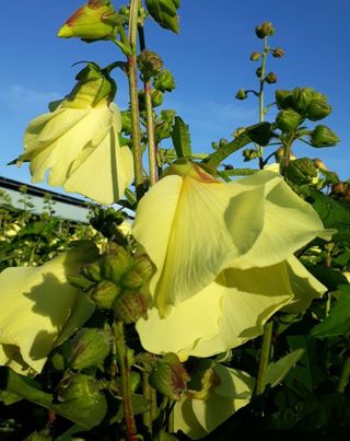 신한숙님의 작성글 사진