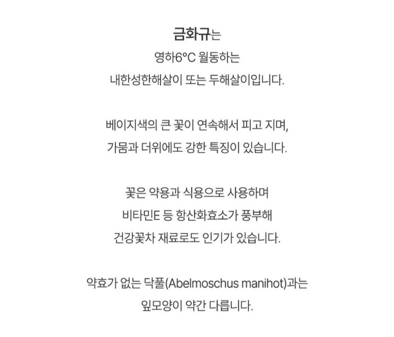 신한숙님의 장터 판매 상품 [금화규 혼합색코스모스각 한스푼정도] 첨부 사진