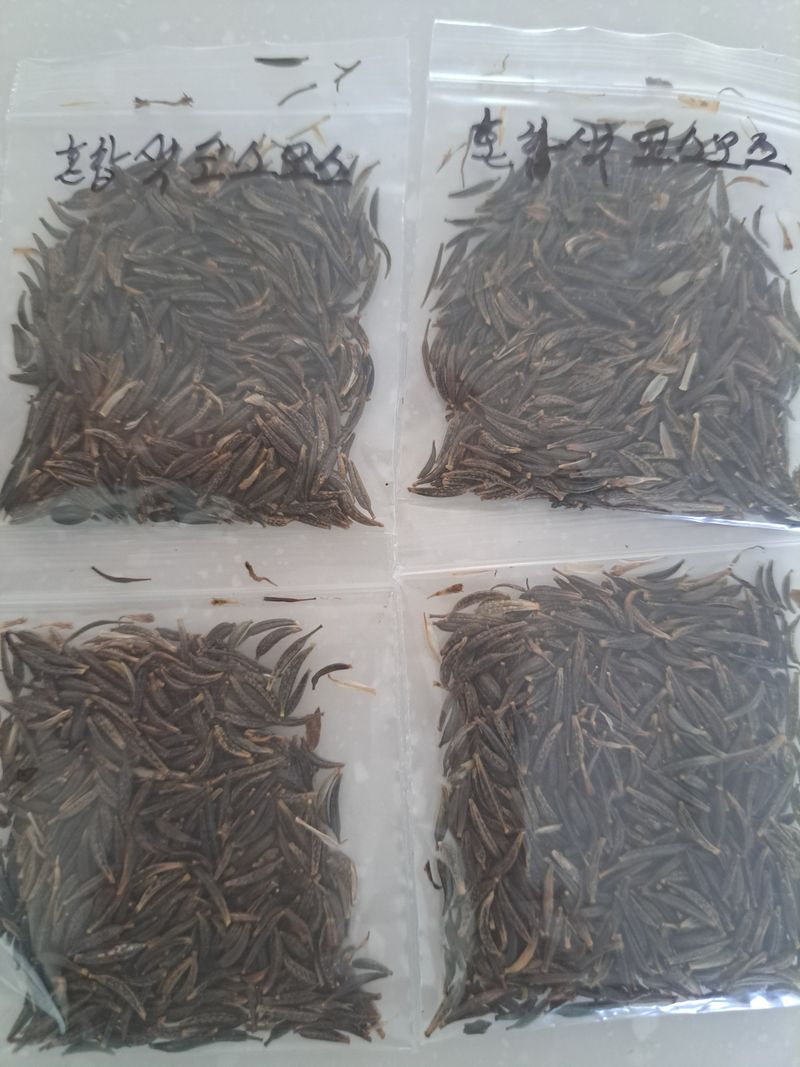 신한숙님의 장터 판매 상품 [금화규 혼합색코스모스각 한스푼정도] 첨부 사진