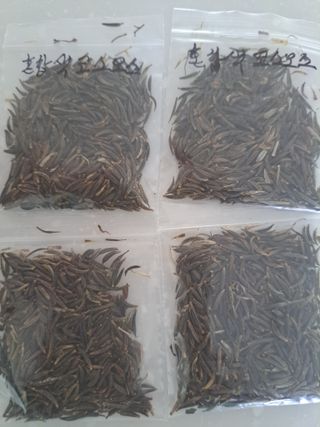 신한숙님의 작성글 사진