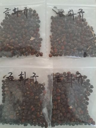 신한숙님의 작성글 사진