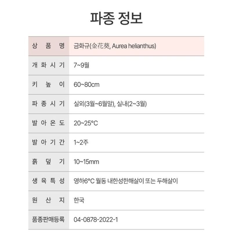 신한숙님의 장터 판매 상품 [금화규 혼합색코스모스각 한스푼정도] 첨부 사진