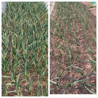 해안로님의 자유주제 · 자유게시판 작성글 사진