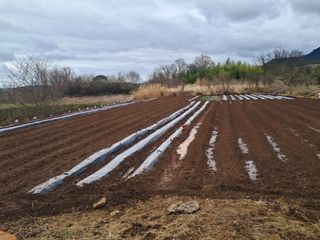 김기한님의 4월 농사계획 공유해요 · 참여글 작성글 사진