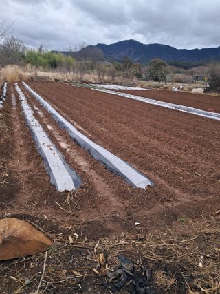 김기한님의 4월 농사계획 공유해요 · 참여글 작성글 사진