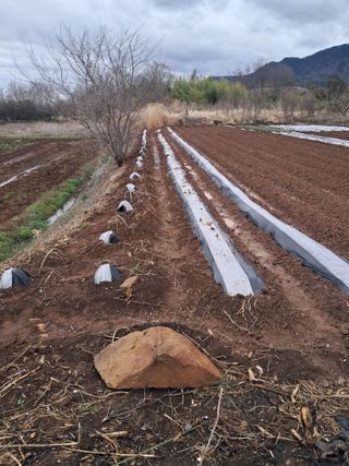 김기한님의 4월 농사계획 공유해요 · 참여글 작성글 사진