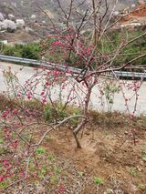 팜모닝 자유주제·자유게시판 게시글 이미지