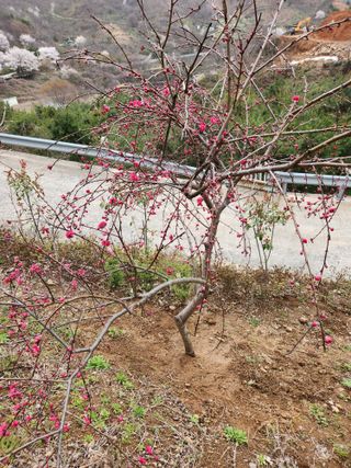 김지태님의 자유주제 · 자유게시판 작성글 사진