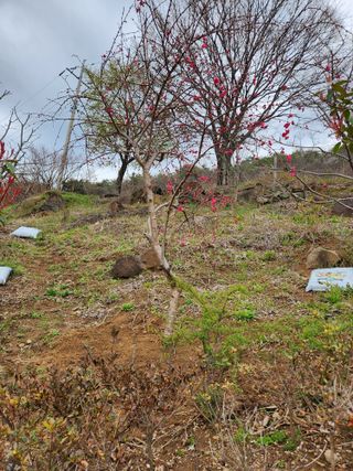 김지태님의 자유주제 · 자유게시판 작성글 사진