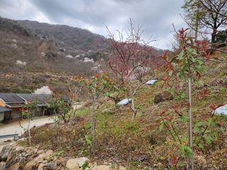 김지태님의 자유주제 · 자유게시판 작성글 사진