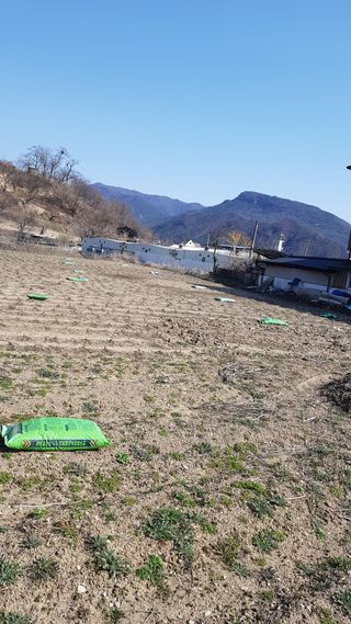 호박7082님의 4월 농사계획 공유해요 · 참여글 작성글 사진