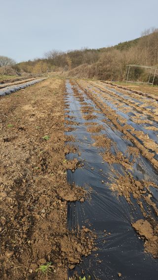 권영동 님의 자유주제 · 자유게시판 작성글 사진