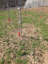 팜모닝 사과·영농일지 게시글 이미지