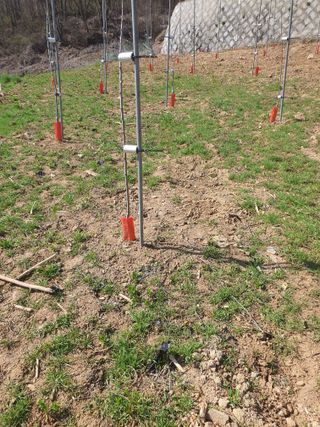 여농님의 사과 · 영농일지 작성글 사진