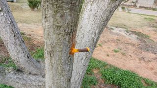 나수일님의 감 · 자유게시판 작성글 사진