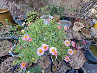 신한숙님의 자유주제 · 자유게시판 작성글 사진