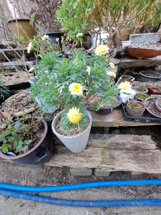 신한숙님의 자유주제 · 자유게시판 작성글 사진