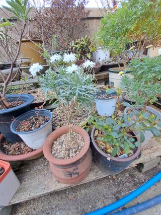 신한숙님의 자유주제 · 자유게시판 작성글 사진