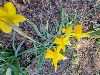 신한숙님의 자유주제 · 자유게시판 작성글 사진