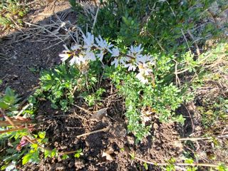 신한숙님의 자유주제 · 자유게시판 작성글 사진