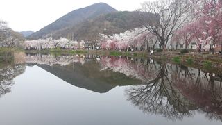 신한숙님의 자유주제 · 자유게시판 작성글 사진