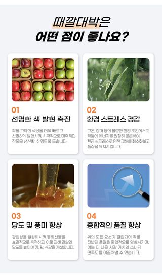 농사엔 공식님의 작성글 사진