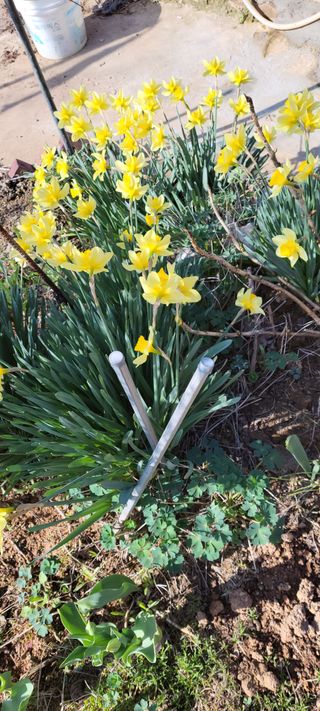 김종옥님의 자유주제 · 자유게시판 작성글 사진