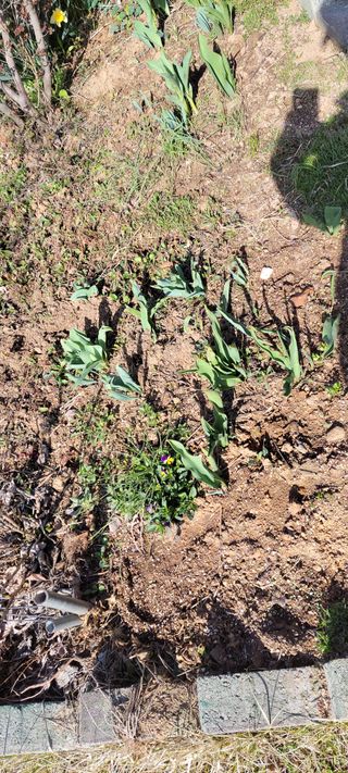 김종옥님의 자유주제 · 자유게시판 작성글 사진