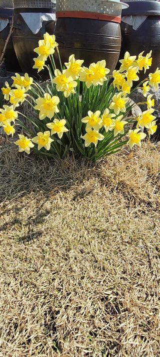 김종옥님의 자유주제 · 자유게시판 작성글 사진