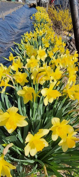 김종옥님의 자유주제 · 자유게시판 작성글 사진