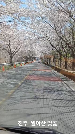 김대업님의 자유주제 · 자유게시판 작성글 사진