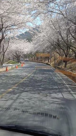 김대업님의 자유주제 · 자유게시판 작성글 사진