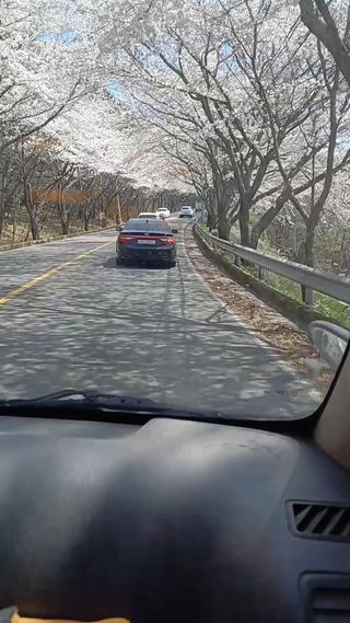 김대업님의 자유주제 · 자유게시판 작성글 사진