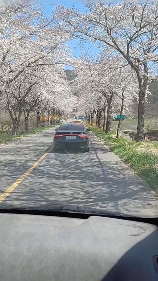 김대업님의 자유주제 · 자유게시판 작성글 사진