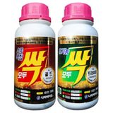 팜모닝 · 게시글 이미지