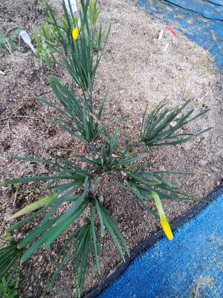 꽃사랑님의 자유주제 · 자유게시판 작성글 사진