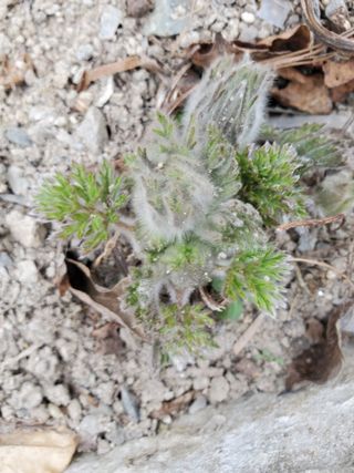 꽃사랑님의 자유주제 · 자유게시판 작성글 사진