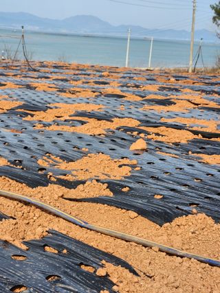 무안최향숙님의 자유주제 · 자유게시판 작성글 사진