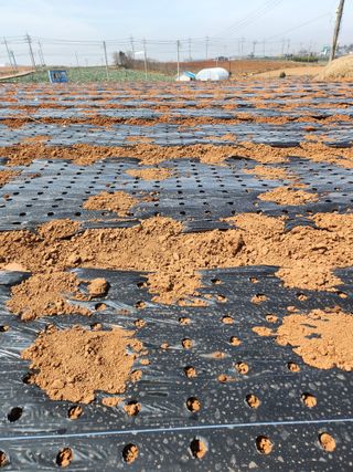 무안최향숙님의 자유주제 · 자유게시판 작성글 사진