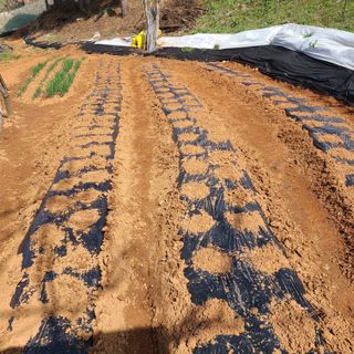 철우(이철우)님의 자유주제 · 자유게시판 작성글 사진