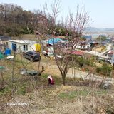 팜모닝 자유주제·사진전 게시글 이미지