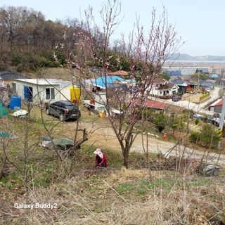 대파6310님의 자유주제 · 사진전 작성글 사진